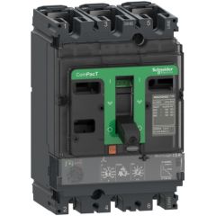 160A, 3P, 36kA, MCCB, Mic 2.2 (NSX Adj 63-160) - Schneider