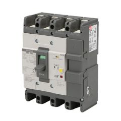 75A, 4P, 30mA, ELCB - LS