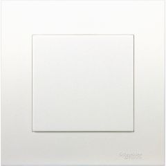 1-Gang; Blank Plate, White - Schneider